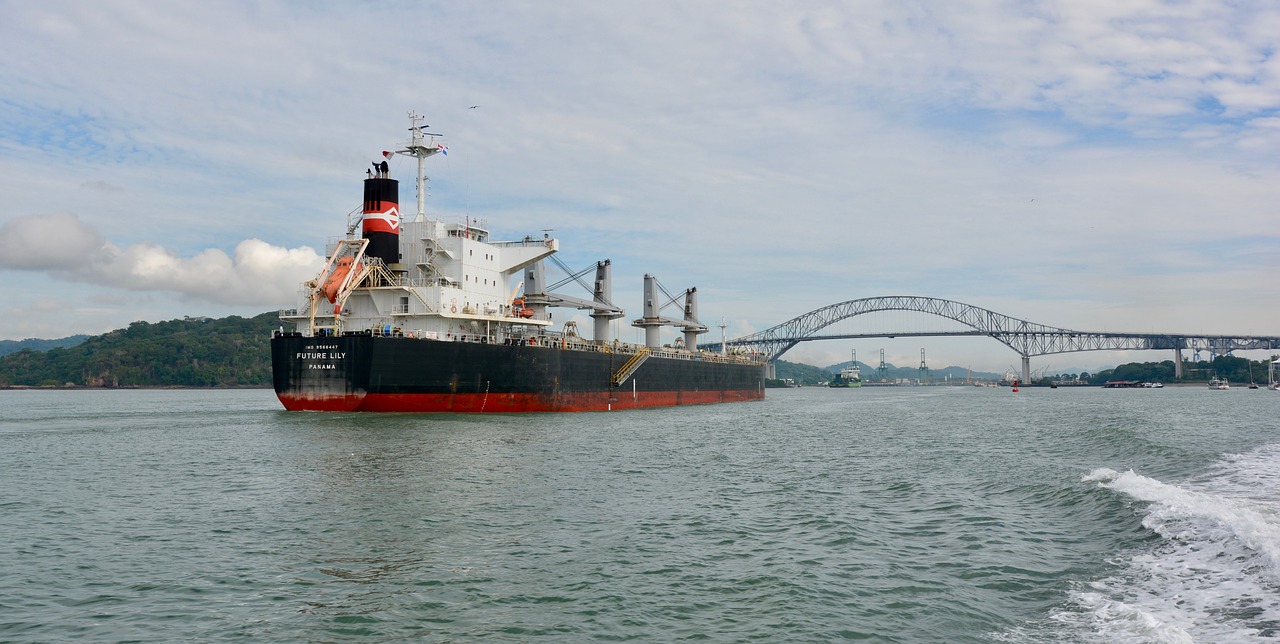 Image: Conoce el “efecto dominó” de la ampliación del Canal de Panamá